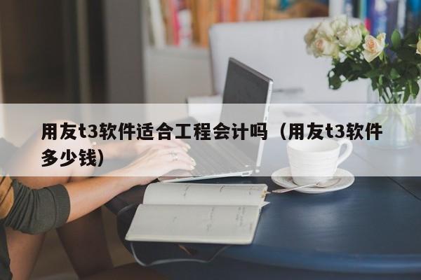 用友t3软件适合工程会计吗（用友t3软件多少钱）