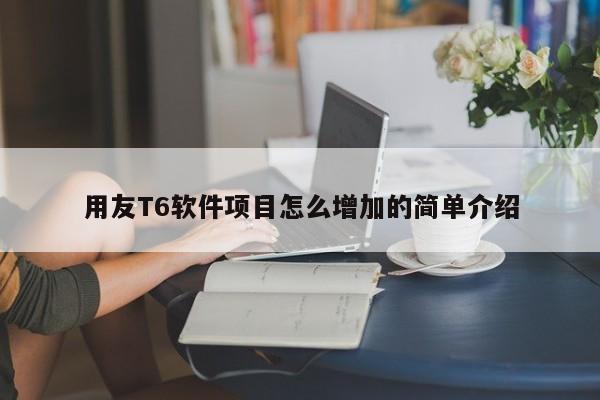 用友T6软件项目怎么增加的简单介绍