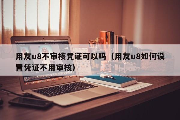 用友u8不审核凭证可以吗（用友u8如何设置凭证不用审核）