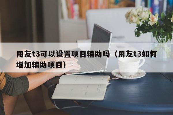 用友t3可以设置项目辅助吗（用友t3如何增加辅助项目）