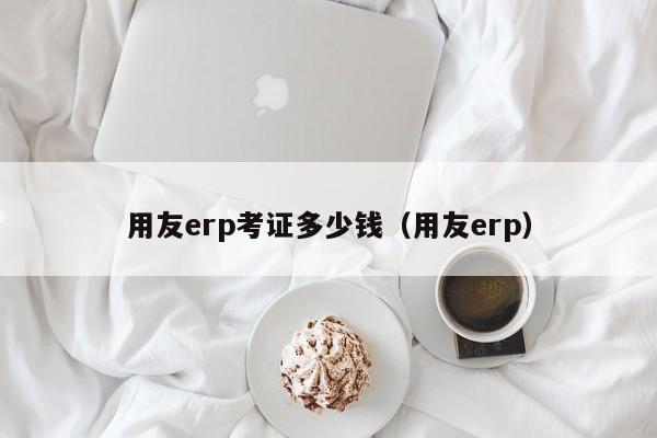 用友erp考证多少钱（用友erp）