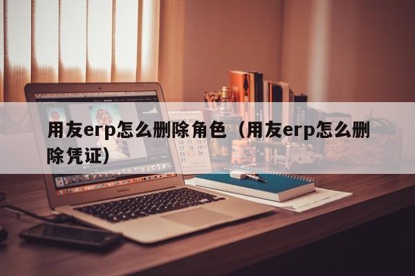 用友erp怎么删除角色（用友erp怎么删除凭证）