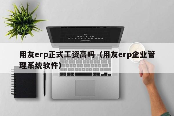 用友erp正式工资高吗（用友erp企业管理系统软件）