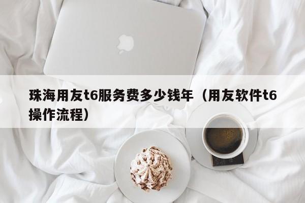 珠海用友t6服务费多少钱年（用友软件t6操作流程）