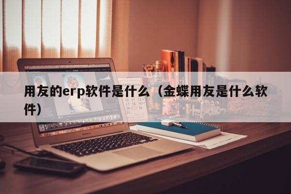 用友的erp软件是什么（金蝶用友是什么软件）