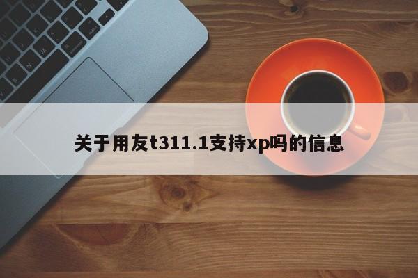 关于用友t311.1支持xp吗的信息