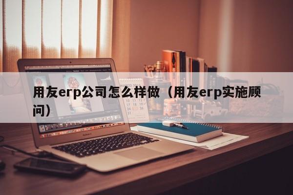 用友erp公司怎么样做（用友erp实施顾问）