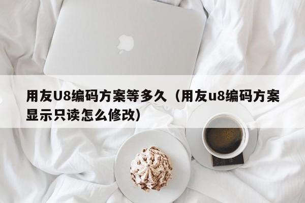 用友U8编码方案等多久（用友u8编码方案显示只读怎么修改）