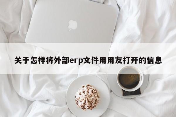 关于怎样将外部erp文件用用友打开的信息