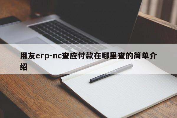 用友erp-nc查应付款在哪里查的简单介绍