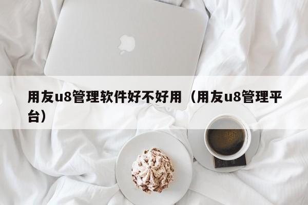 用友u8管理软件好不好用（用友u8管理平台）