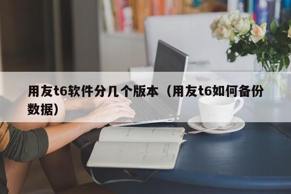 用友t6软件分几个版本（用友t6如何备份数据）