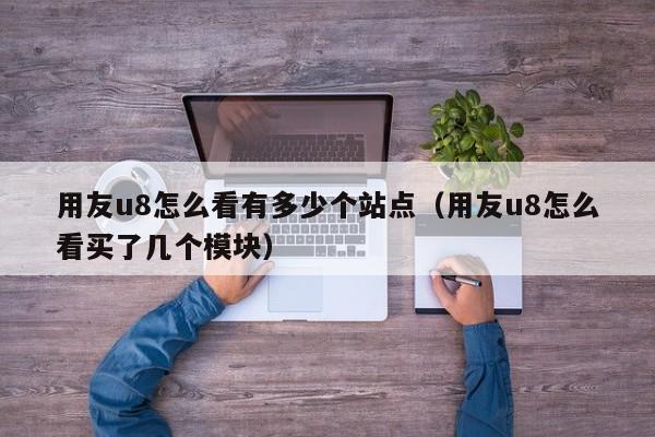 用友u8怎么看有多少个站点（用友u8怎么看买了几个模块）