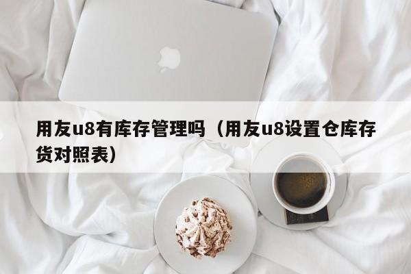 用友u8有库存管理吗（用友u8设置仓库存货对照表）