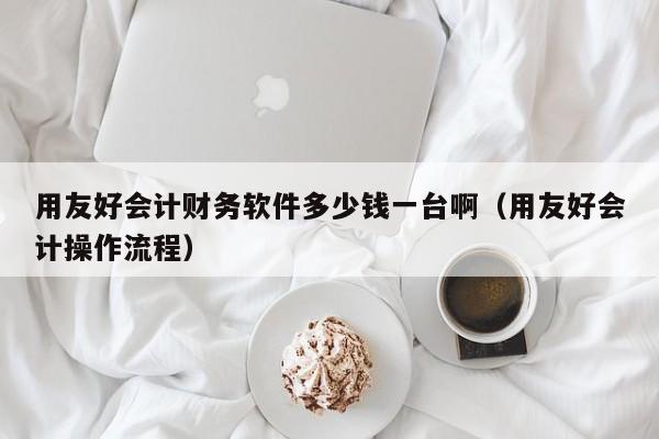 用友好会计财务软件多少钱一台啊（用友好会计操作流程）