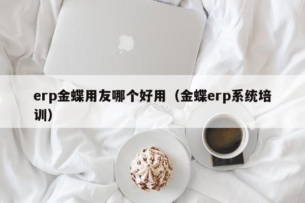 erp金蝶用友哪个好用（金蝶erp系统培训）