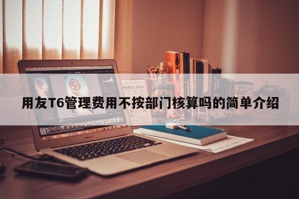 用友T6管理费用不按部门核算吗的简单介绍