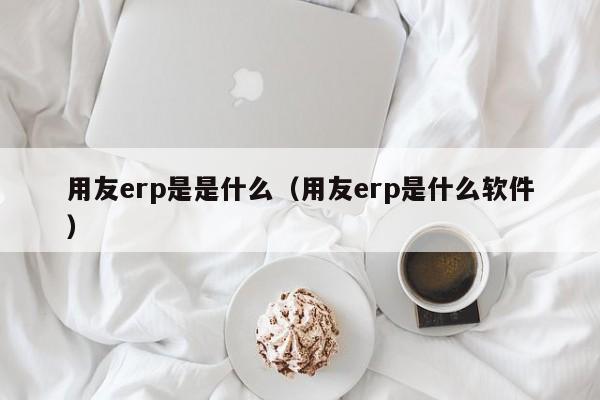 用友erp是是什么（用友erp是什么软件）