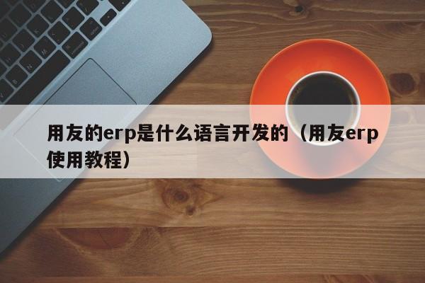 用友的erp是什么语言开发的（用友erp使用教程）