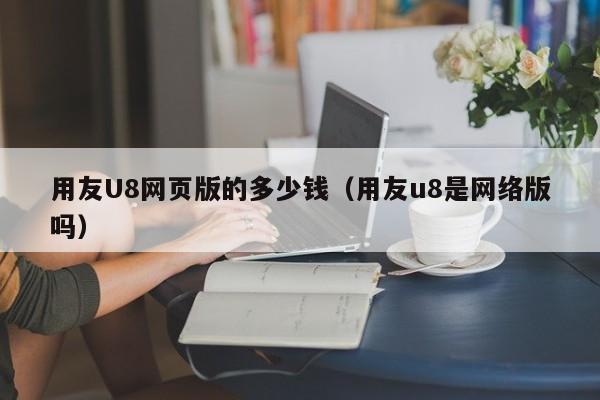 用友U8网页版的多少钱（用友u8是网络版吗）