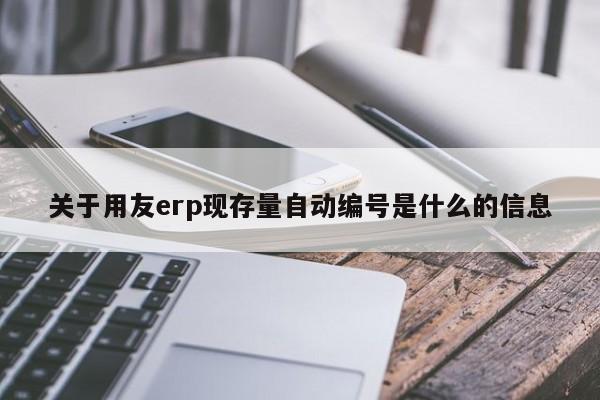 关于用友erp现存量自动编号是什么的信息