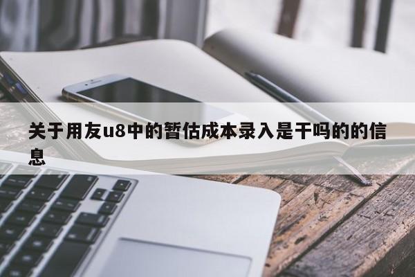 关于用友u8中的暂估成本录入是干吗的的信息