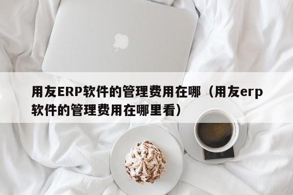 用友ERP软件的管理费用在哪（用友erp软件的管理费用在哪里看）