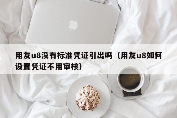 用友u8没有标准凭证引出吗（用友u8如何设置凭证不用审核）