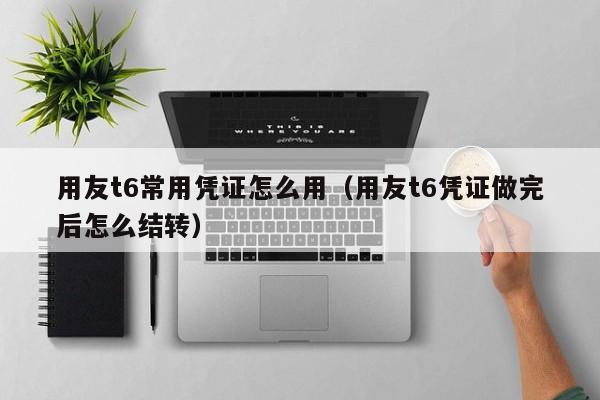 用友t6常用凭证怎么用（用友t6凭证做完后怎么结转）