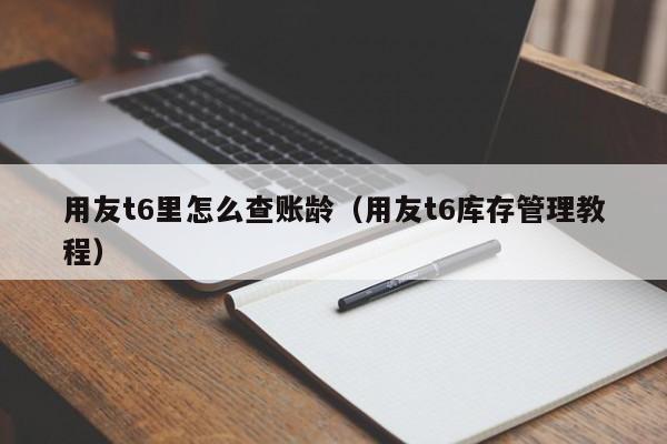 用友t6里怎么查账龄（用友t6库存管理教程）