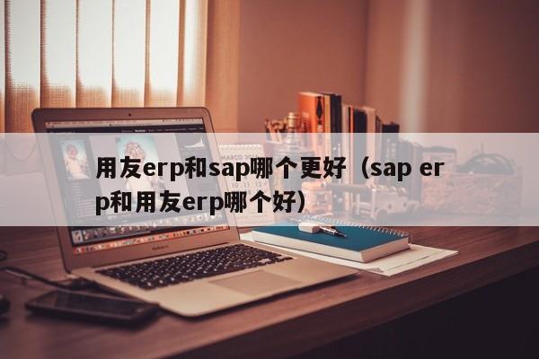 用友erp和sap哪个更好（sap erp和用友erp哪个好）