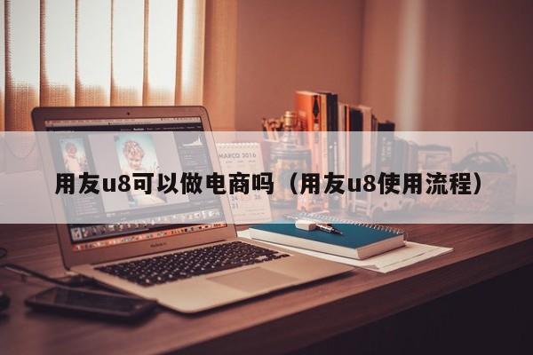 用友u8可以做电商吗（用友u8使用流程）