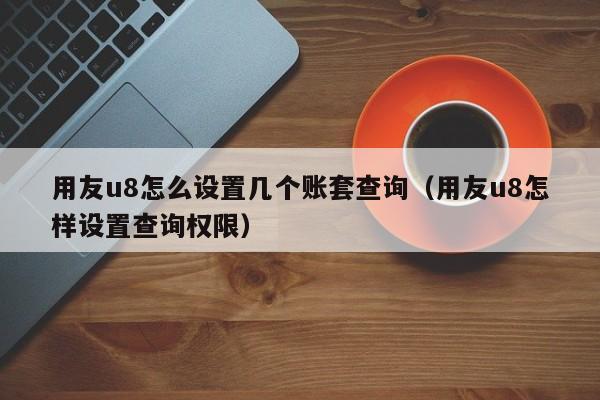 用友u8怎么设置几个账套查询（用友u8怎样设置查询权限）