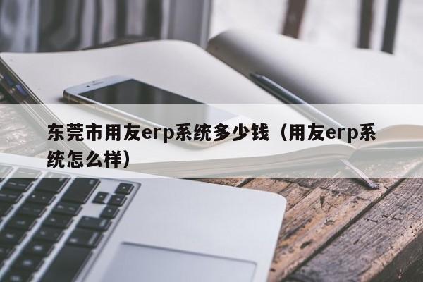 东莞市用友erp系统多少钱（用友erp系统怎么样）