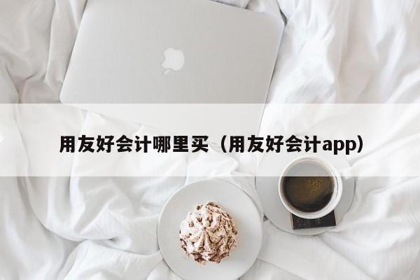 用友好会计哪里买（用友好会计app）