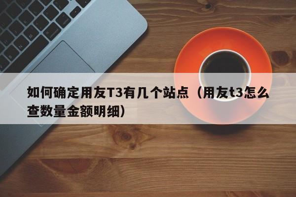 如何确定用友T3有几个站点（用友t3怎么查数量金额明细）