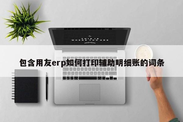 包含用友erp如何打印辅助明细账的词条