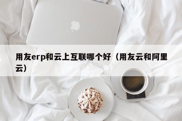 用友erp和云上互联哪个好（用友云和阿里云）