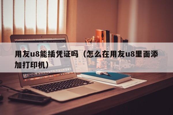 用友u8能插凭证吗（怎么在用友u8里面添加打印机）