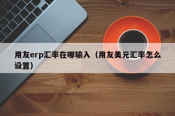 用友erp汇率在哪输入（用友美元汇率怎么设置）