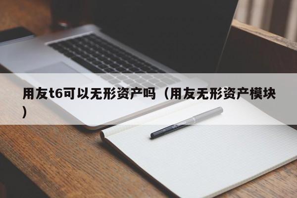 用友t6可以无形资产吗（用友无形资产模块）