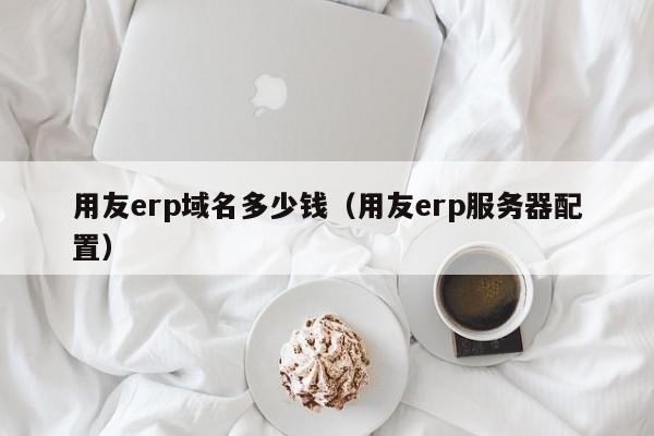 用友erp域名多少钱（用友erp服务器配置）