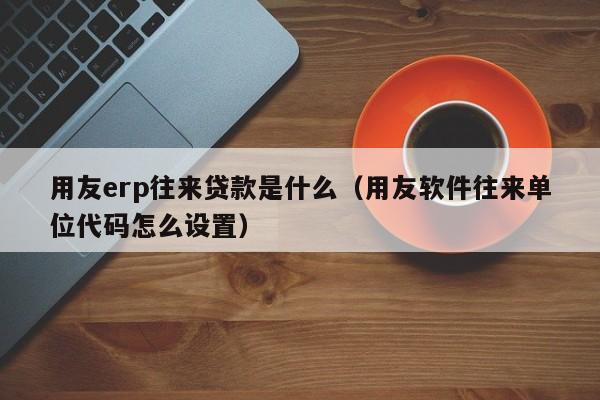 用友erp往来贷款是什么（用友软件往来单位代码怎么设置）