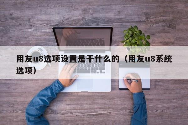 用友u8选项设置是干什么的（用友u8系统选项）