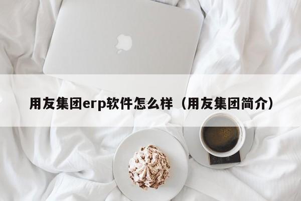 用友集团erp软件怎么样（用友集团简介）