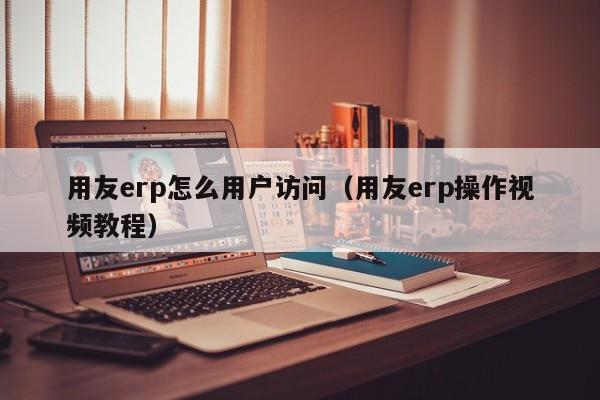 用友erp怎么用户访问（用友erp操作视频教程）