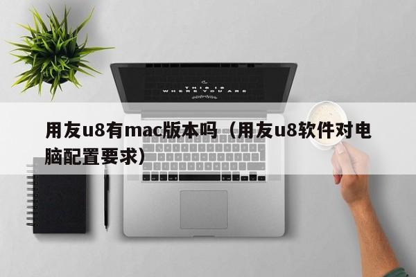 用友u8有mac版本吗（用友u8软件对电脑配置要求）