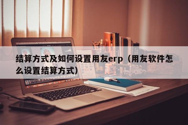 结算方式及如何设置用友erp（用友软件怎么设置结算方式）