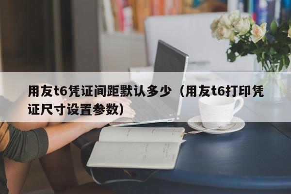 用友t6凭证间距默认多少（用友t6打印凭证尺寸设置参数）