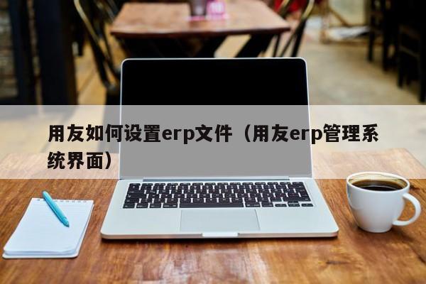 用友如何设置erp文件（用友erp管理系统界面）